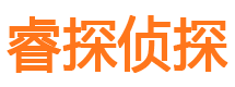 湘东市私家侦探公司